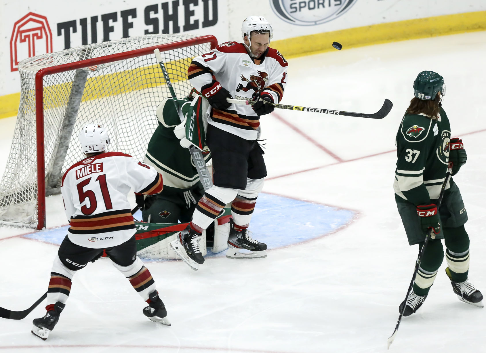Tucson Roadrunners vs Iowa Wild